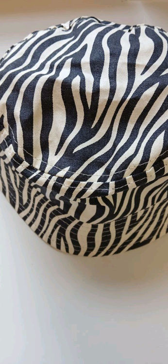 Billede af Zebra hat