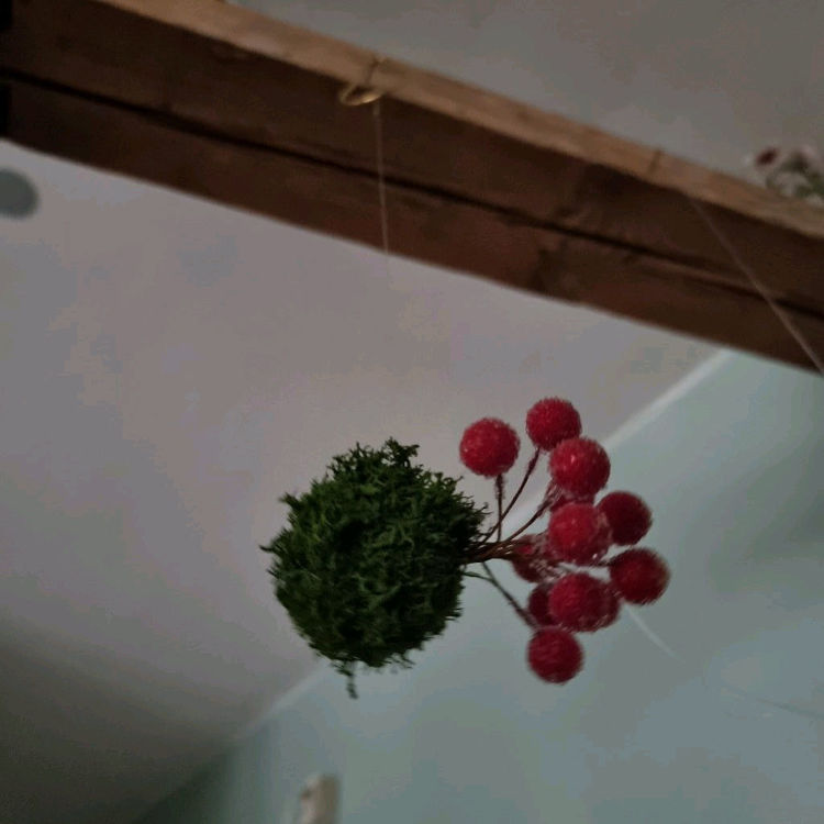 Billede af Mini - KOKEDAMA / jul