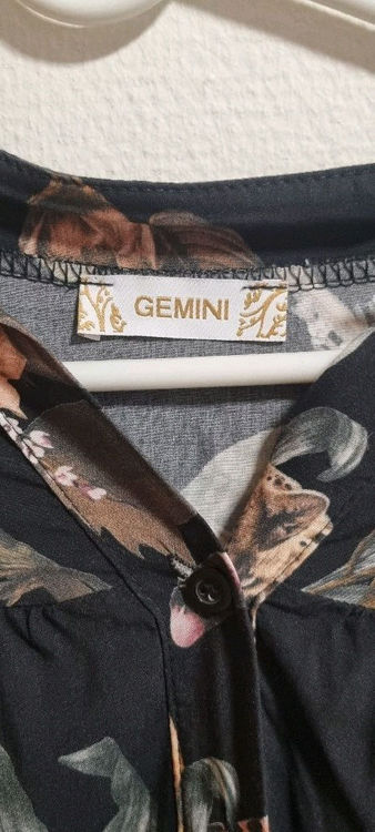 Billede af Gemini